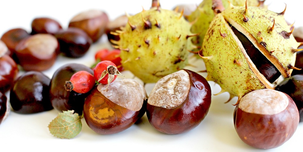 san martino in cucina